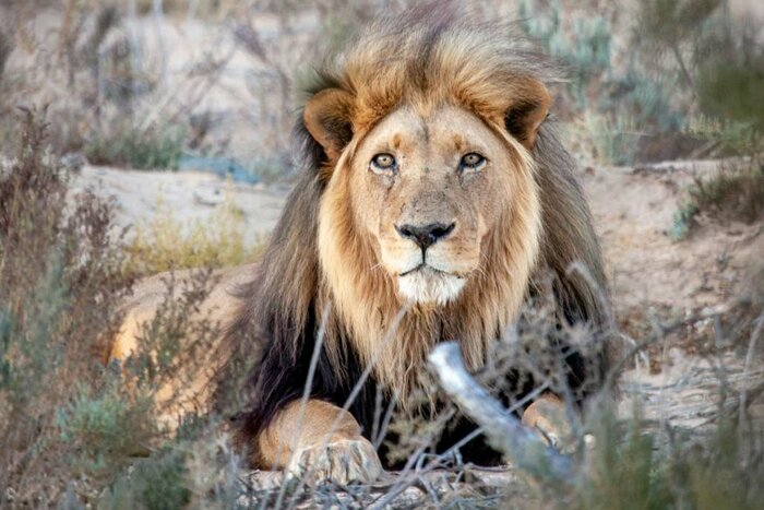 Your stay at Inverdoorn