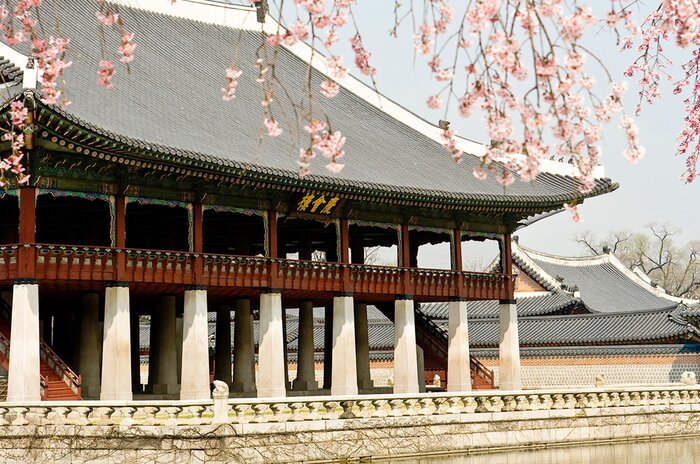 Half Day Gyeongbokgung Palace and Bukchon Hanok Village