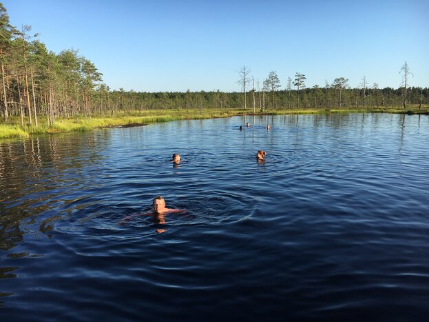 Private Day Trip to Lahemaa National Park
