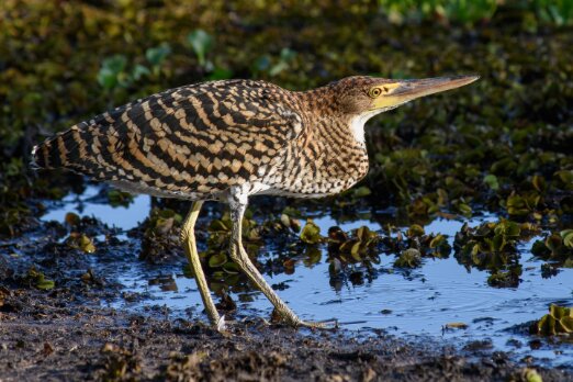 Day 3 – Nature and Movement _ Aymara Experience