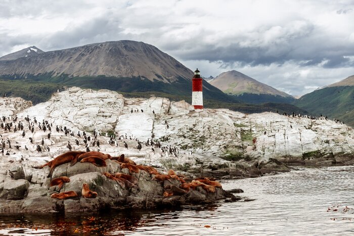 Penguin and sea lion colonies off the coast of Ushuaia