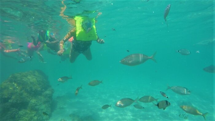 Snorkel Tour in Tabarca Island