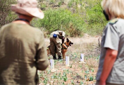 K9 Anti Poaching Experience 