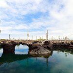 The ethereal landscape of Los Tuneles