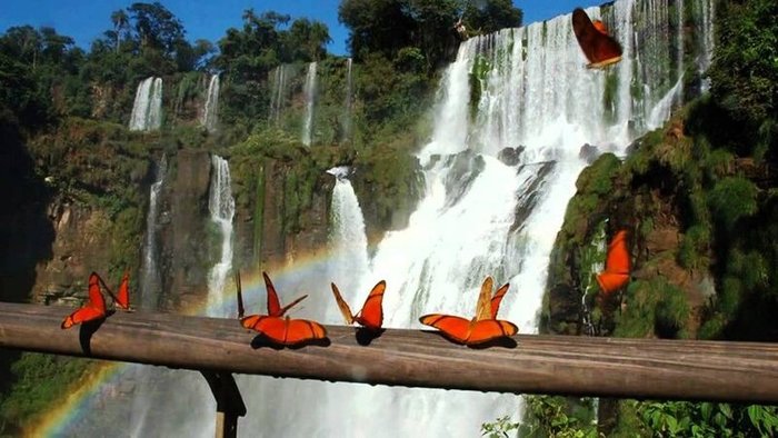 A visit to Foz de Iguacu Falls - Brazilian Side