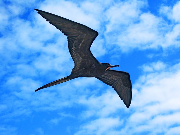 Kayaking Adventure - Ochoa Beach
