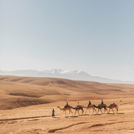 Sunset Camel Ride in Agafay