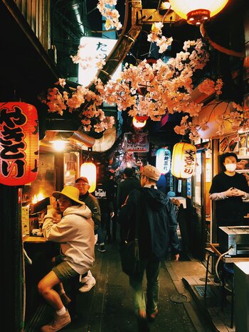Izakaya food tour in Shinjuku (14 small tastings)