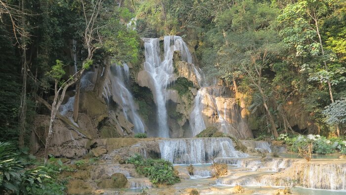 Kuang Si Waterfall with zipline experience  & Laos Buffalo Dairy