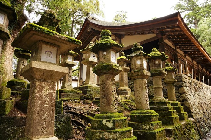 Full Day Nara Kofuku-ji, Todai-ji, and Isuien Garden Tour