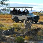 Spot animals up close