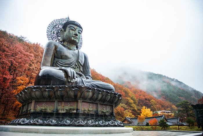 Discover South Korea's history as you tour sights like the Buddha monument of Sinheungsa Temple in Sokcho