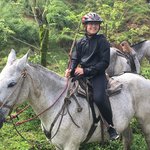 The horses are well-trained and calm | Photo taken by Sandra C