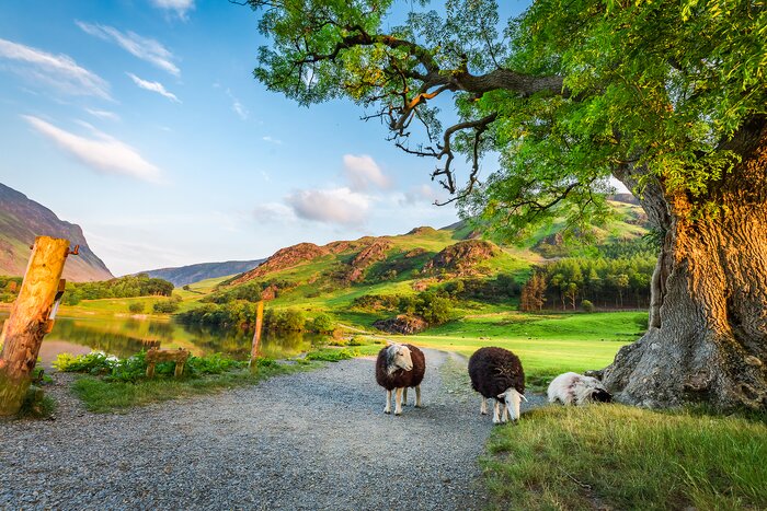 The Lake District, known for its scenery, comes alive in June