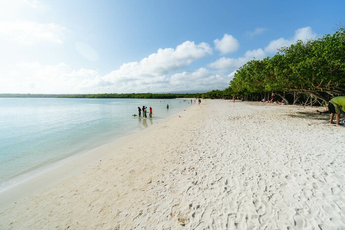 Morning Hike to Tortuga Bay & Free Afternoon