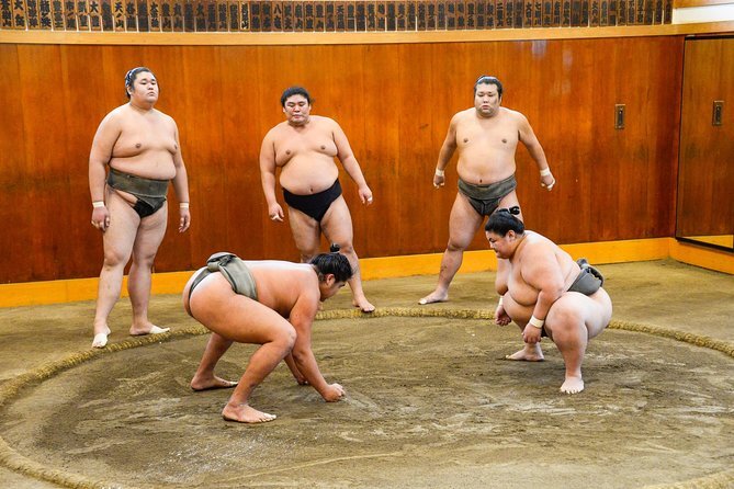 Tokyo Sumo Practice Tour