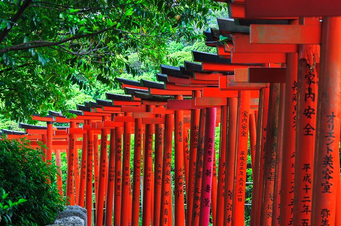 Feel the Charm of Old Town Tokyo: Nezu Shrine and Yanaka Disctrict Walking Tour