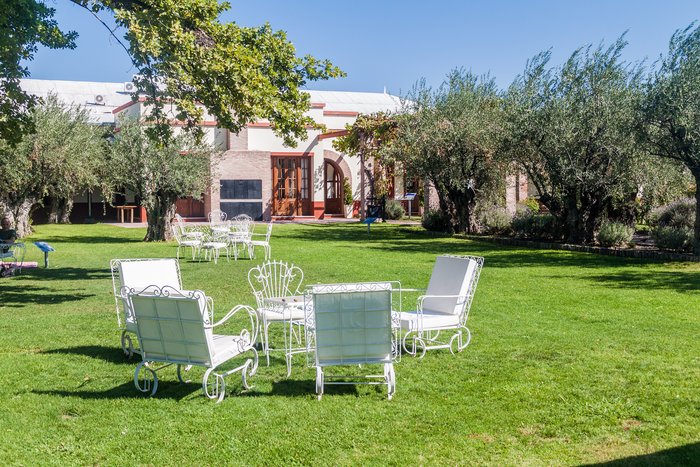 A garden at a vineyard in Chacras de Coria