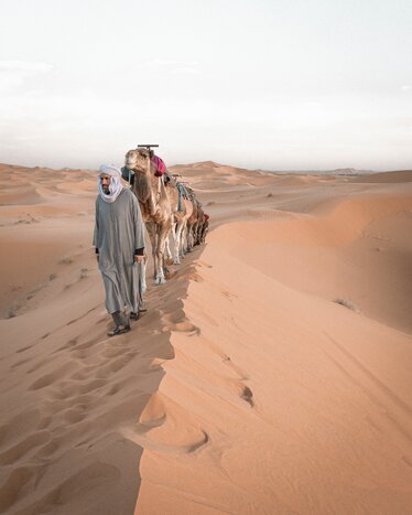 Transfer from Fes to Merzouga via Erfoud & Camel Ride
