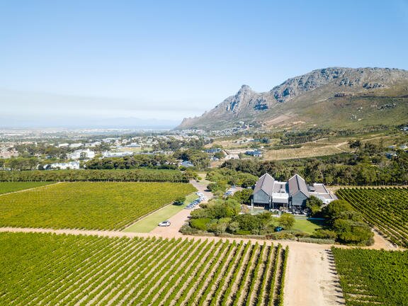 Constantia Wine Route with a Sommelier
