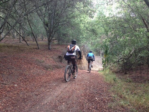 Biking in the Andes