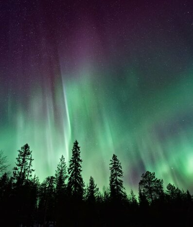 Northern Lights Snapshots: Rovaniemi's Photographic Chase