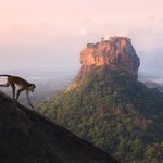 Sri Lanka's Sigiriya rock fortress