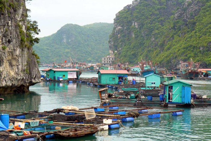 Lan Ha - Tuan Chau Harbour (Stellar of the Seas Cruise) - Return to the airport