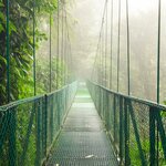 Explore the Hanging Bridges of Monteverde