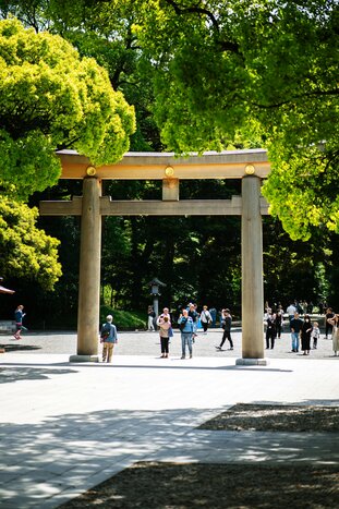 Half Day Tokyo Tour with a Multilingual Guide by Public Transportation (Private)