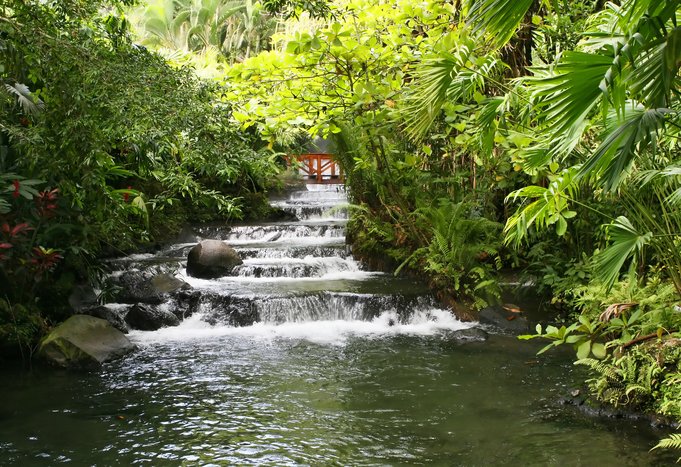Volcano Hike and Hot Springs