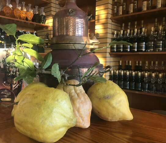 Naxos Town: Food, People & Heritage