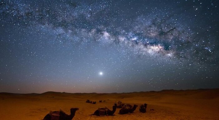 Sahara Sky Adventure: Explore the Stars with an Astronomer