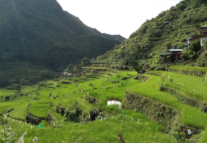 Banaue + Sagada + Batad 4D/3N Tour (Day 3)