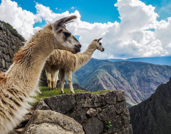 Crown Jewel of Peru: Machu Picchu Sanctuary