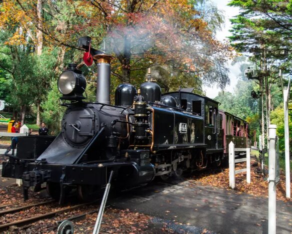 Puffing Billy & Healesville Sanctuary & Chocolaterie