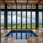 Consider an eco-conscious luxury trip to the Galápagos Islands (photo courtesy of Pikaia Lodge)