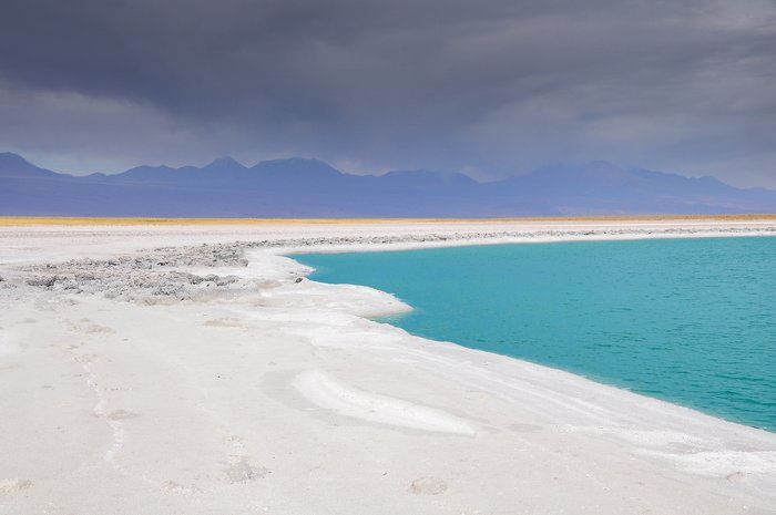 Lagunas Cejar, Tebenquinche and Ojos del Salar