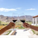 Discover the world-class wine country of Argentina and hop over to Chile for taste of its famous reds