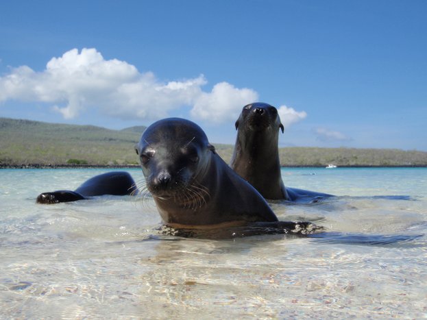 Day Trip to an Uninhabited Island