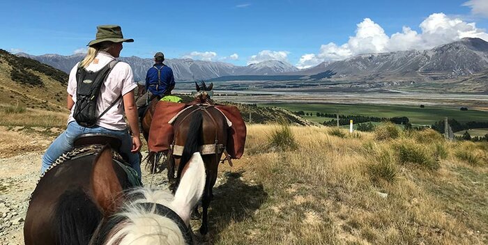 Real Kiwi Horse Trekking