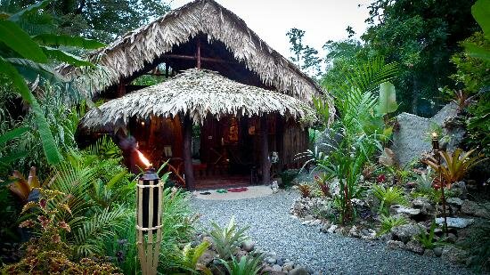 Rainforest Immersion Massage and Tropical Facial 