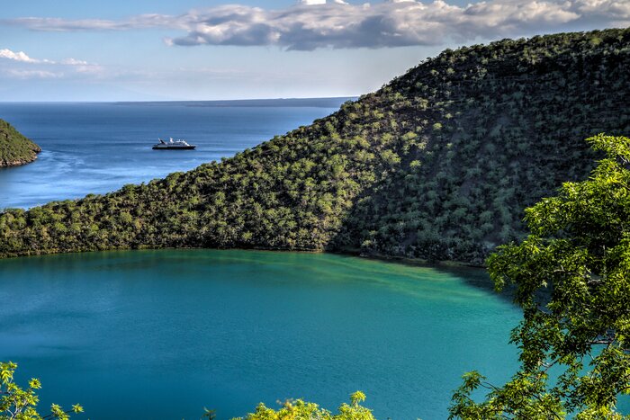 Cruise to Darwin's Bay on the Galápagos island of Isabela