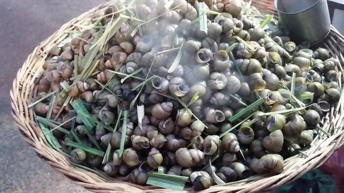 Evening tuk tuk Night Market Tour