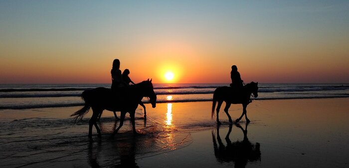 Horseback riding at the Black Sandy Beach 