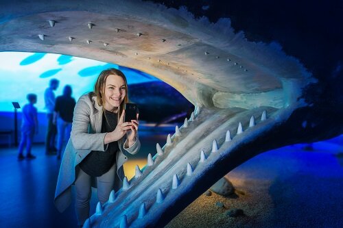 Whales of Iceland Museum