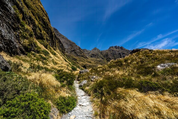 Hike the Routeburn Trail on a wilderness tour of New Zealand's North and South Islands