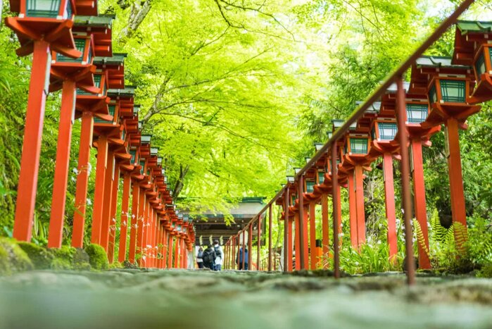 Hiking Kurama-Kibune through Sacred Peaks and Ancient Paths