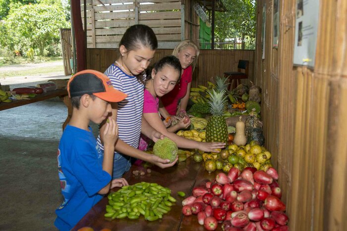 Finca Sura Farm Tour