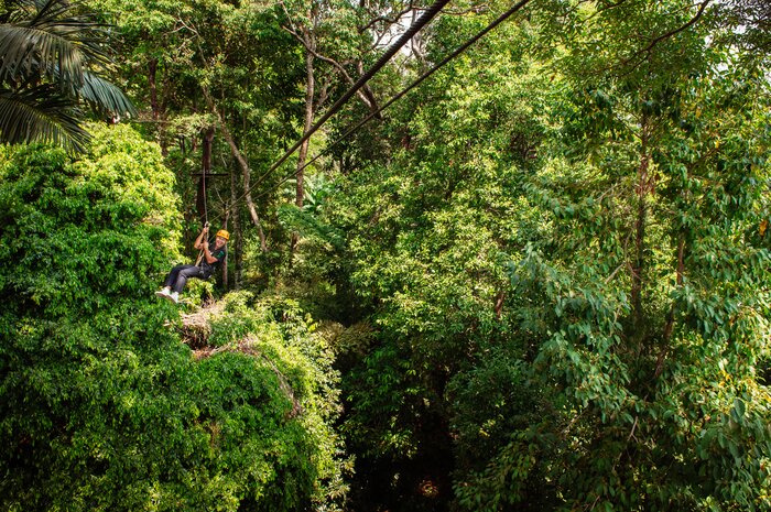 Take to the treetops on an exciting zipline excursion in Phuket